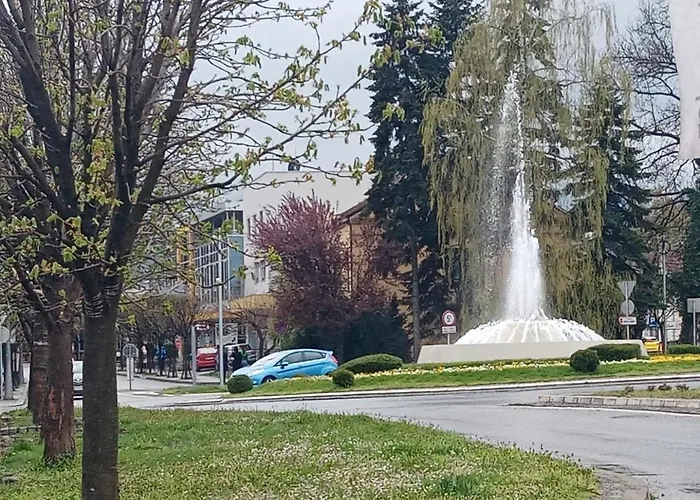 公寓 Visnja Aparmtani Vrnjačka Banja